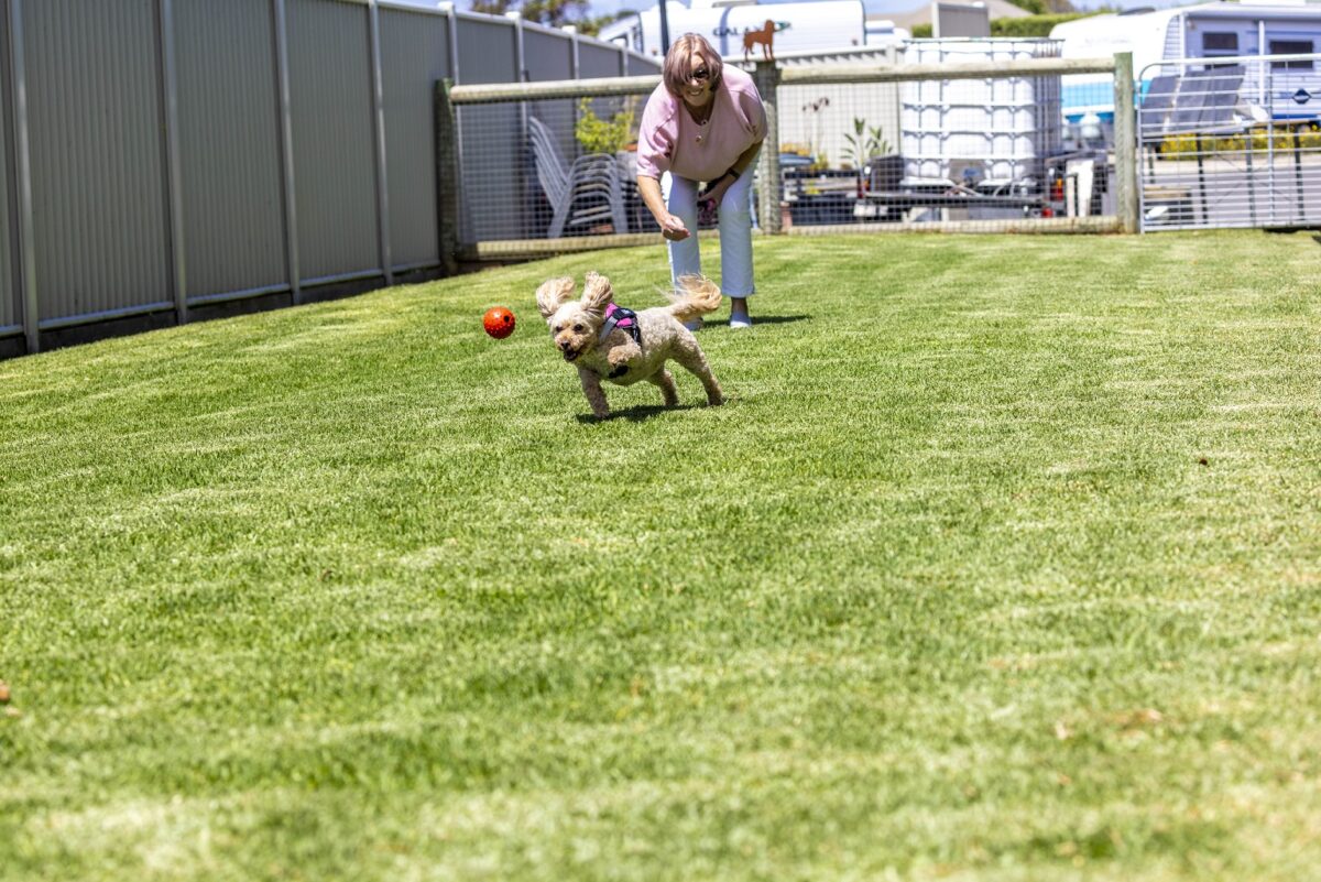 An older woman plays fetch with her dog in the shared dog run at Barwarre Gardens Retirement Community.
