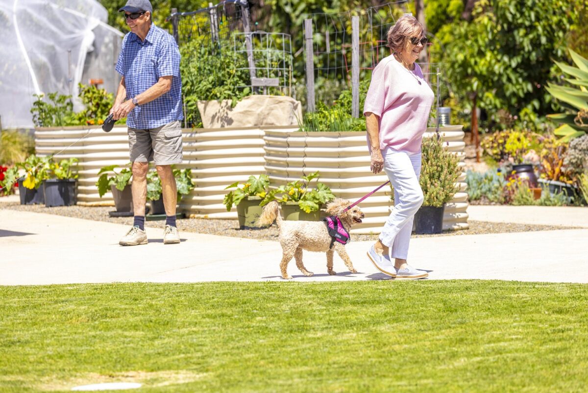An older man and woman are walking their dogs through the vegie patch at Barwarre Gardens Retirement Community.